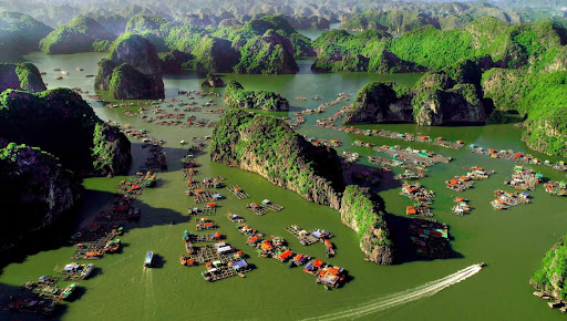 Vườn Quốc gia Cát Bà của Việt Nam nằm trong danh sách 10 vườn quốc gia đẹp trên thế giới. (Nguồn ảnh: biendaohaiphong.gov.vn)